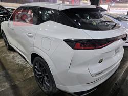 شانجان يوني - Z